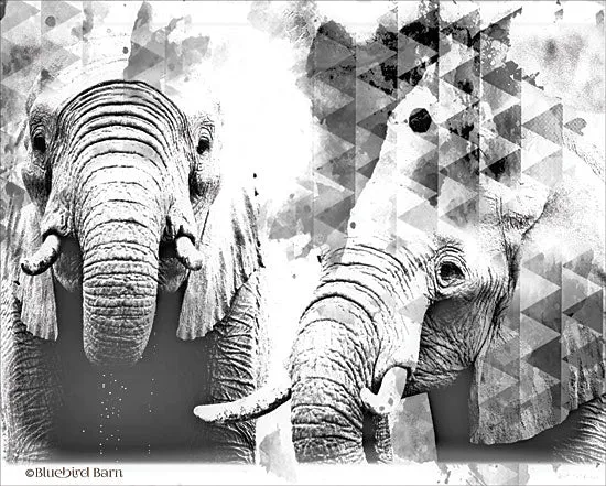 BLUE141 - Modern Black & White Elephants    - 16x12