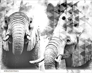BLUE141 - Modern Black & White Elephants    - 16x12