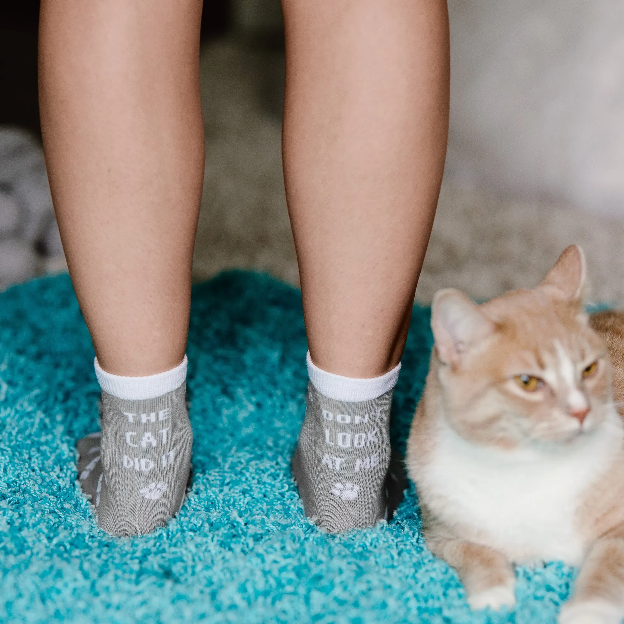 Cat Did It 2T-4T Crew Socks