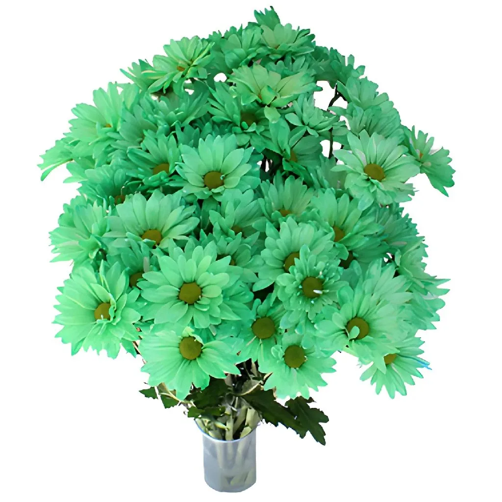 Mint Green Daisy Flower Enhanced