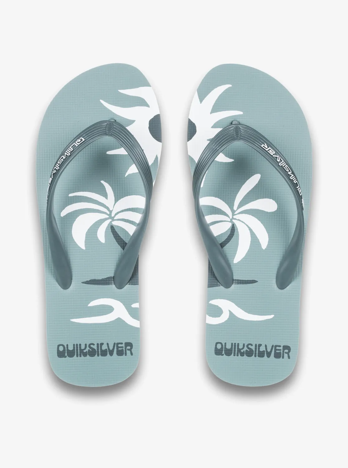 Quiksilver Men's Molokai Screen Flip Flops Sage AQYL101427-LTG
