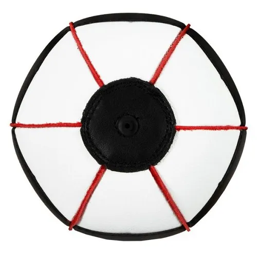 Title Lightning Fast Speed Bag