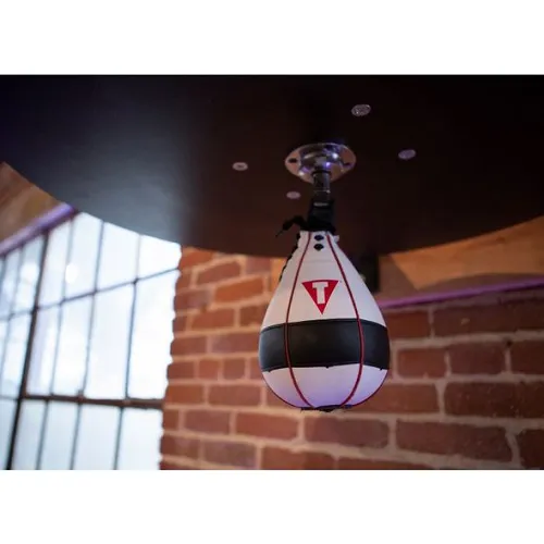 Title Lightning Fast Speed Bag