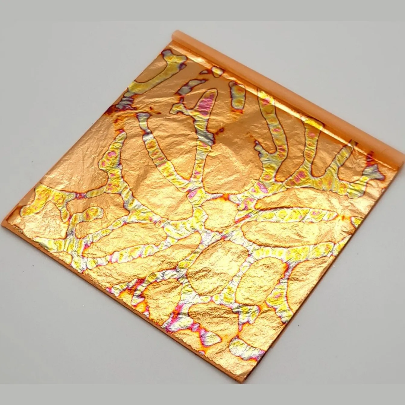 Tropical Glitz Variegated Leaf